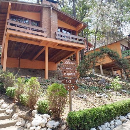 Cabanas Los Bosques Del Zembo Huasca de Ocampo Eksteriør billede