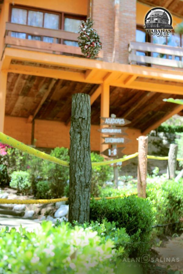 Cabanas Los Bosques Del Zembo Huasca de Ocampo Eksteriør billede