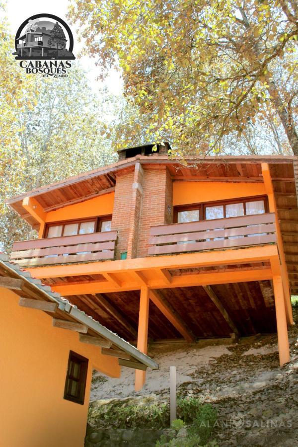 Cabanas Los Bosques Del Zembo Huasca de Ocampo Eksteriør billede