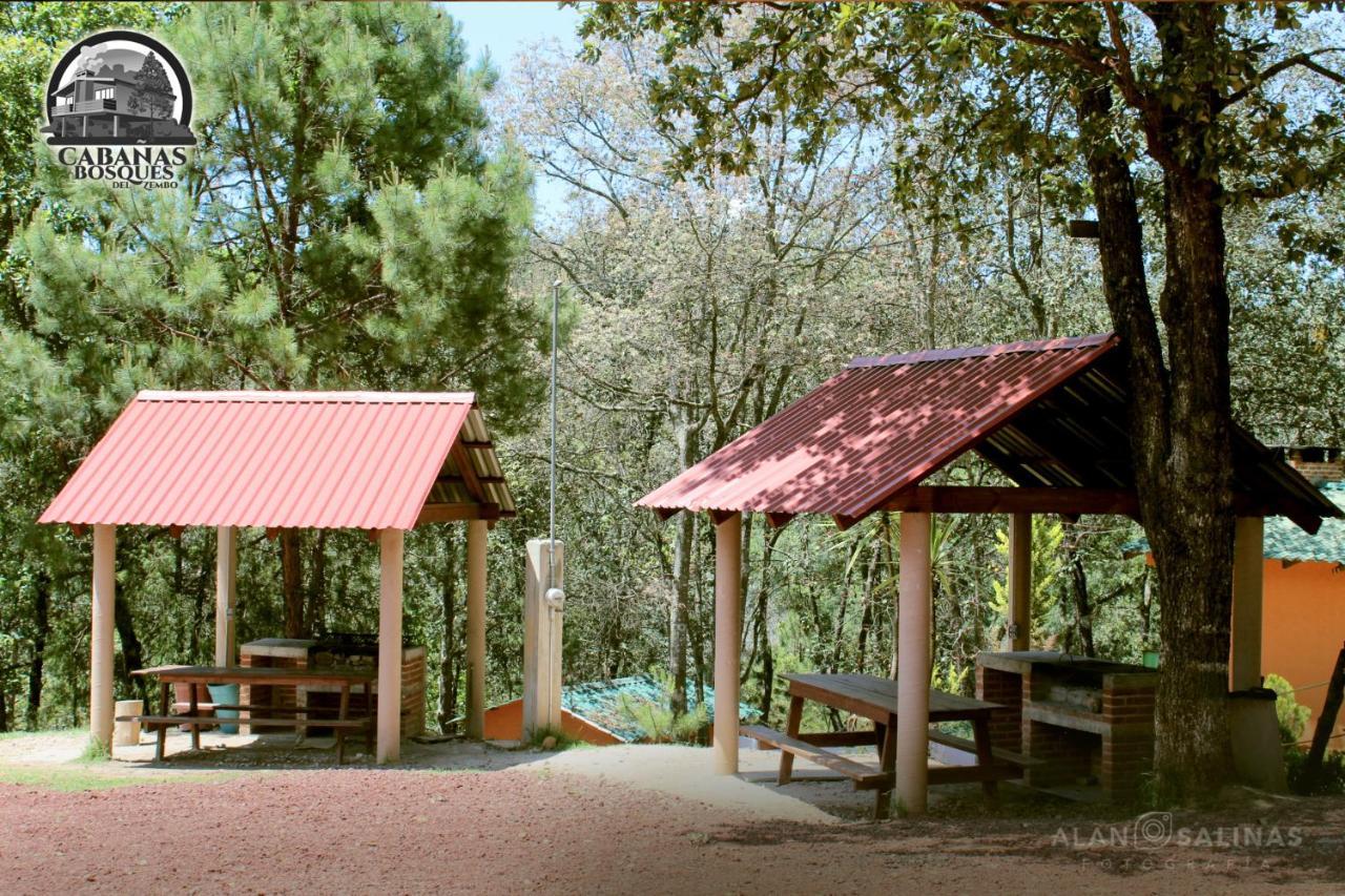Cabanas Los Bosques Del Zembo Huasca de Ocampo Eksteriør billede