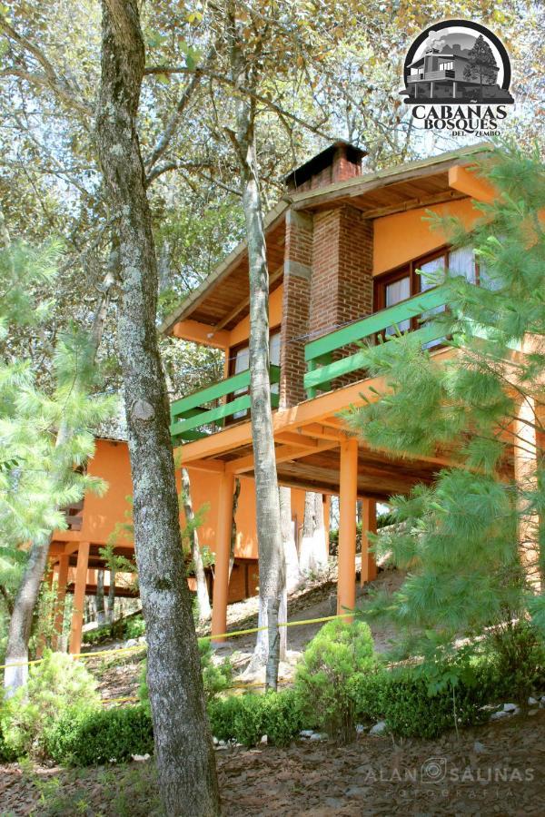 Cabanas Los Bosques Del Zembo Huasca de Ocampo Eksteriør billede