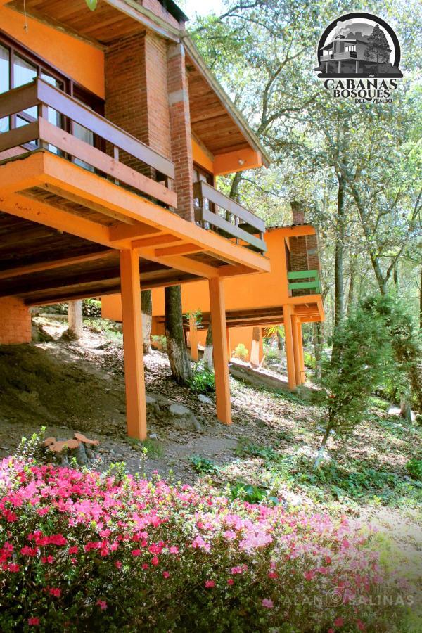 Cabanas Los Bosques Del Zembo Huasca de Ocampo Eksteriør billede