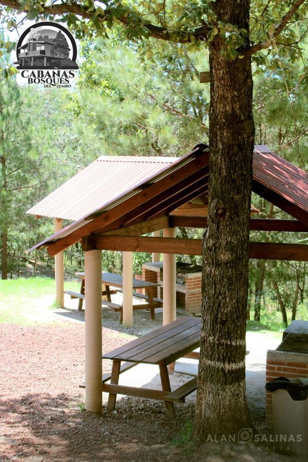 Cabanas Los Bosques Del Zembo Huasca de Ocampo Eksteriør billede