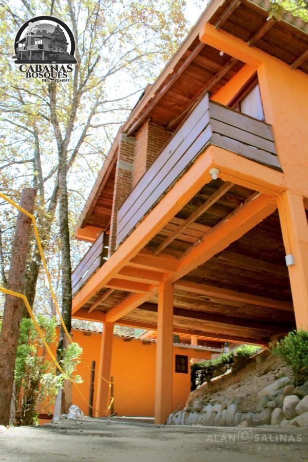 Cabanas Los Bosques Del Zembo Huasca de Ocampo Eksteriør billede