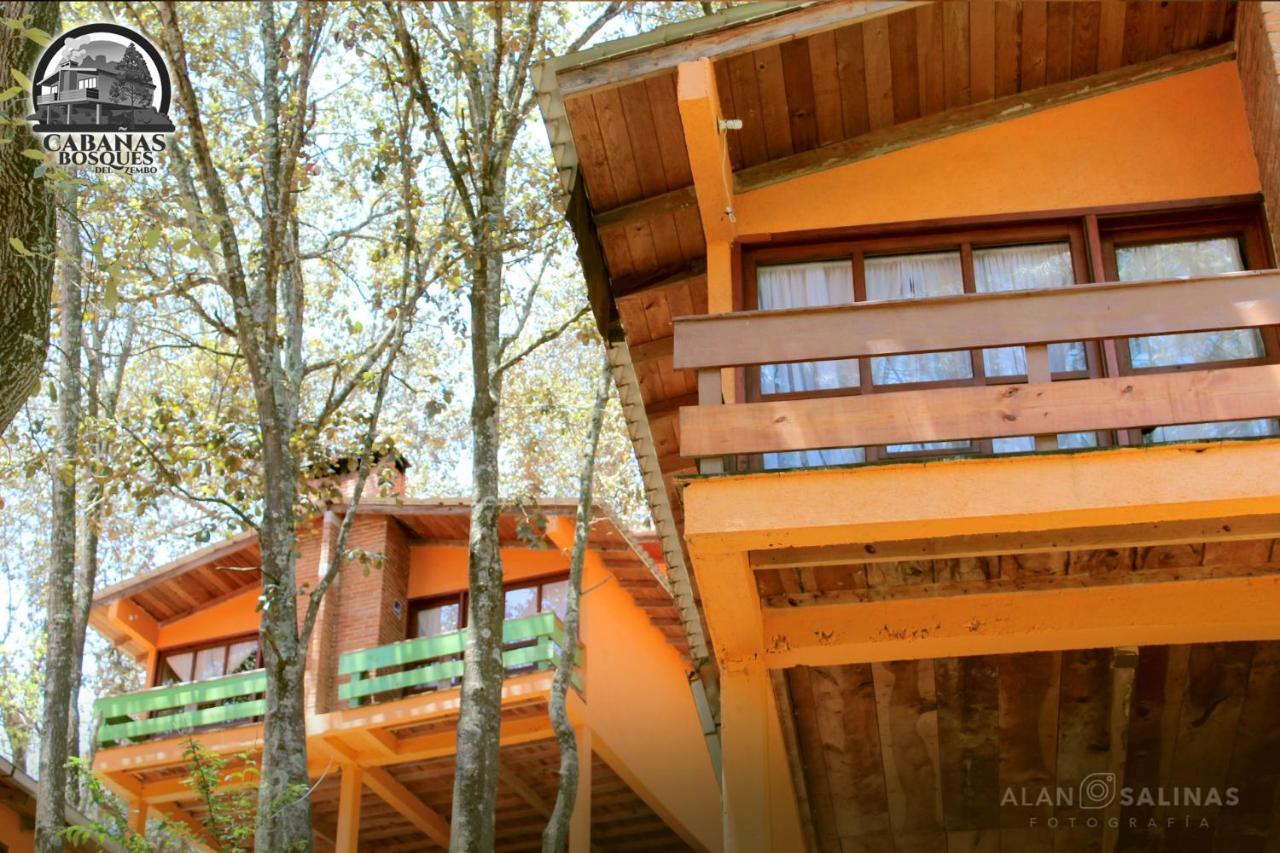 Cabanas Los Bosques Del Zembo Huasca de Ocampo Eksteriør billede