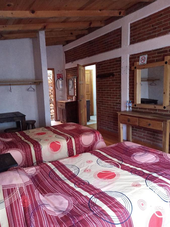Cabanas Los Bosques Del Zembo Huasca de Ocampo Eksteriør billede