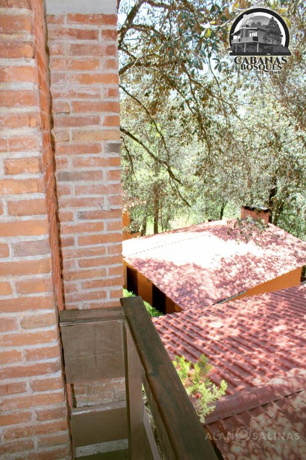 Cabanas Los Bosques Del Zembo Huasca de Ocampo Eksteriør billede