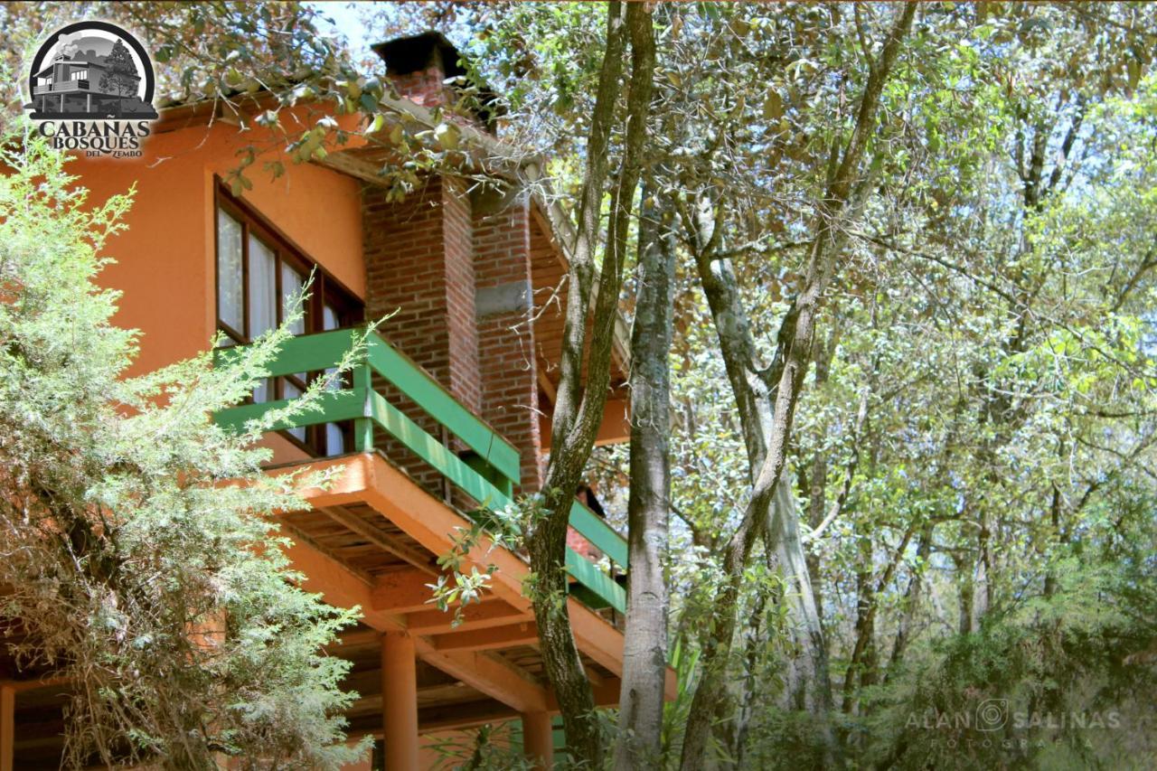 Cabanas Los Bosques Del Zembo Huasca de Ocampo Eksteriør billede