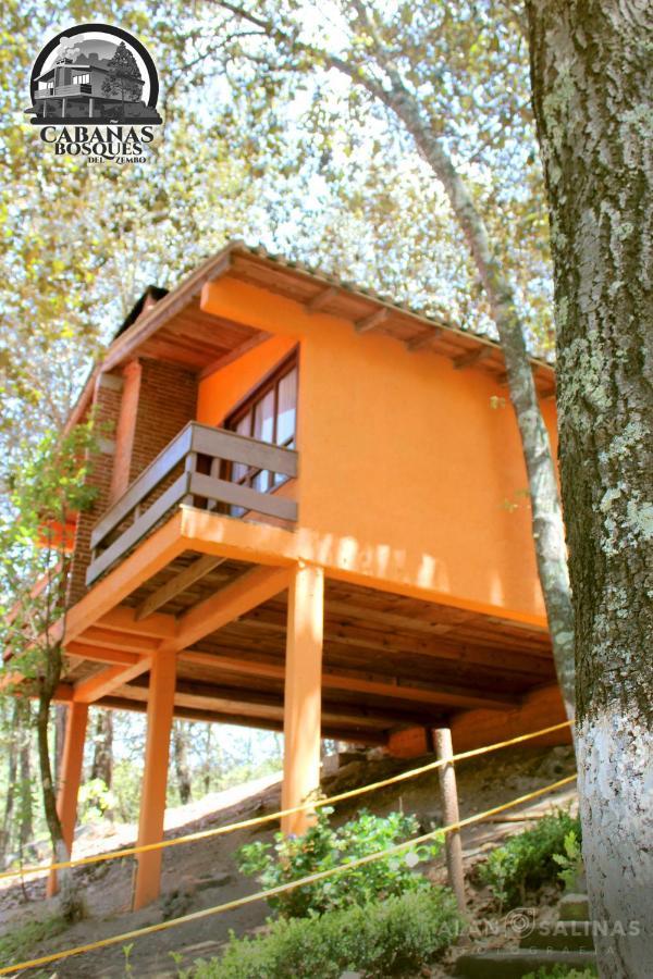 Cabanas Los Bosques Del Zembo Huasca de Ocampo Eksteriør billede