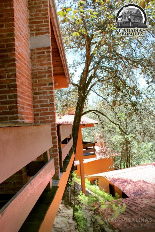 Cabanas Los Bosques Del Zembo Huasca de Ocampo Eksteriør billede