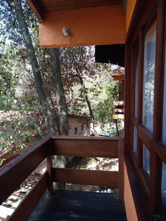Cabanas Los Bosques Del Zembo Huasca de Ocampo Eksteriør billede