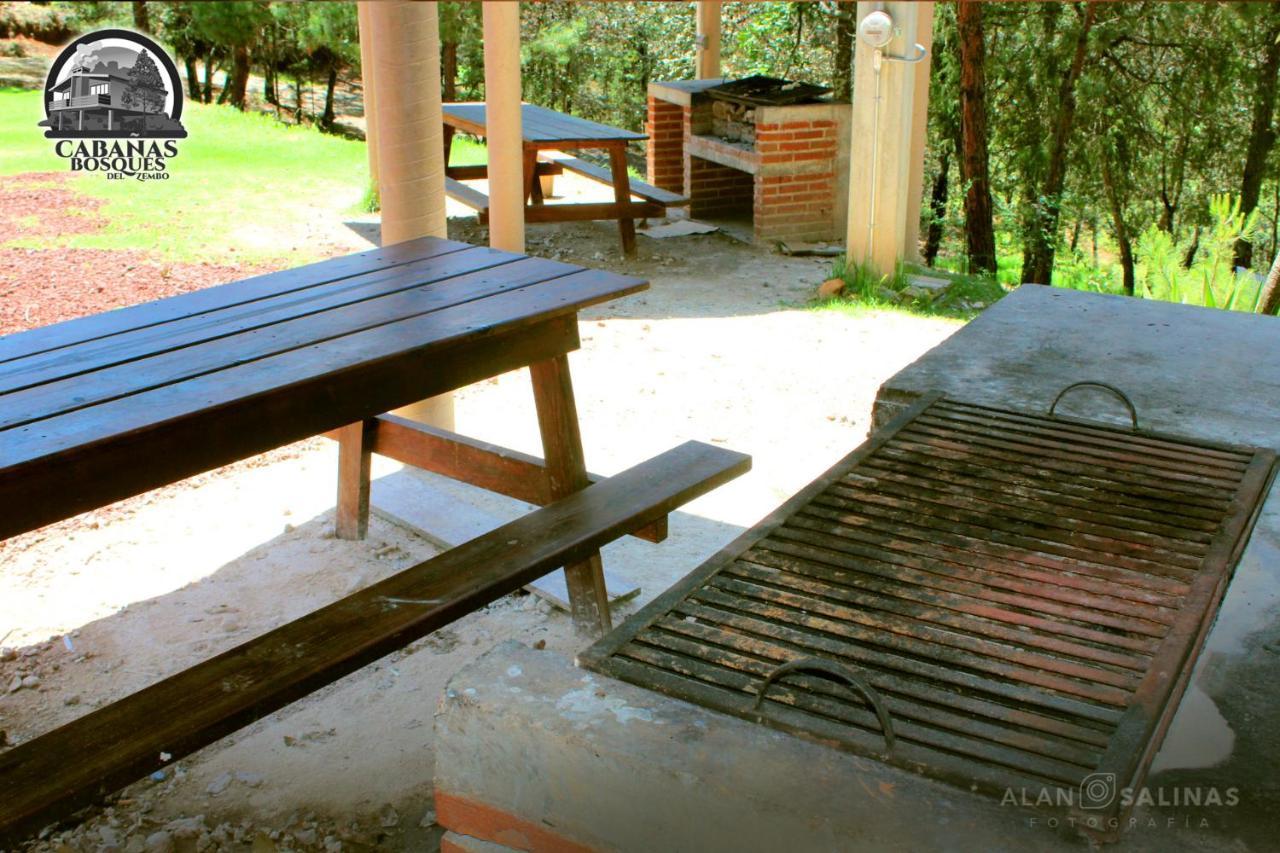 Cabanas Los Bosques Del Zembo Huasca de Ocampo Eksteriør billede