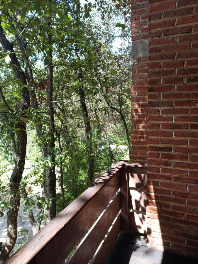 Cabanas Los Bosques Del Zembo Huasca de Ocampo Eksteriør billede